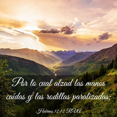 Picture 03 - Hebreos 12:12 RVA - Por lo cual alzad las manos caídas y las - Bible Verse Picture