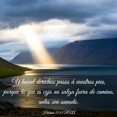 Picture 03 - Hebreos 12:13 RVA - Y haced derechos pasos á vuestros pies, porque - Bible Verse Picture