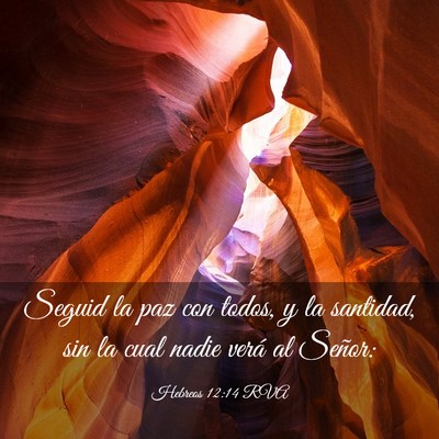 Picture 03 - Hebreos 12:14 RVA - Seguid la paz con todos, y la santidad, sin la - Bible Verse Picture