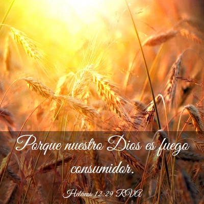 Picture 03 - Hebreos 12:29 RVA - Porque nuestro Dios es fuego - Bible Verse Picture