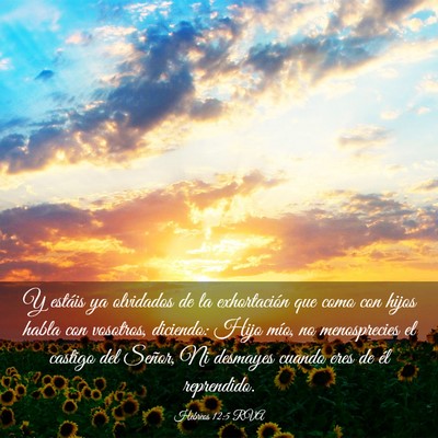Picture 03 - Hebreos 12:5 RVA - Y estáis ya olvidados de la exhortación que - Bible Verse Picture