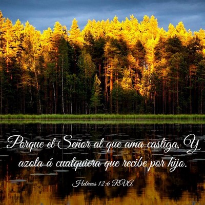 Picture 03 - Hebreos 12:6 RVA - Porque el Señor al que ama castiga, Y azota á - Bible Verse Picture