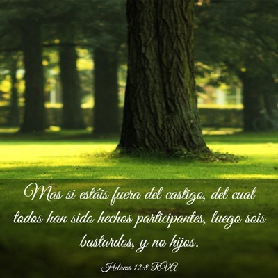 Picture 03 - Hebreos 12:8 RVA - Mas si estáis fuera del castigo, del cual todos - Bible Verse Picture