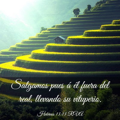 Picture 03 - Hebreos 13:13 RVA - Salgamos pues á él fuera del real, llevando su - Bible Verse Picture
