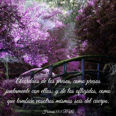 Picture 03 - Hebreos 13:3 RVA - Acordaos de los presos, como presos juntamente - Bible Verse Picture