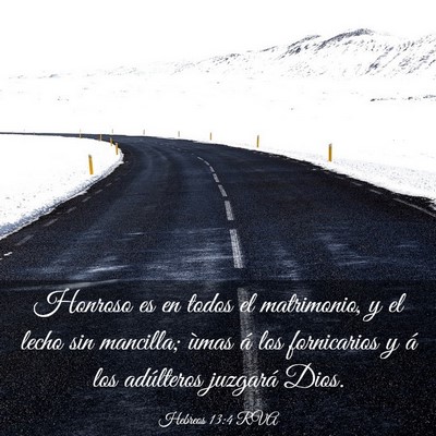 Picture 03 - Hebreos 13:4 RVA - Honroso es en todos el matrimonio, y el lecho sin - Bible Verse Picture