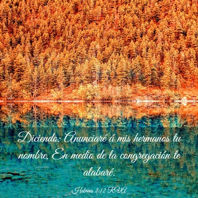 Picture 03 - Hebreos 2:12 RVA - Diciendo: Anunciaré á mis hermanos tu nombre, - Bible Verse Picture