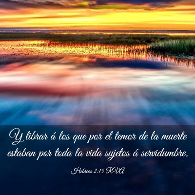 Picture 03 - Hebreos 2:15 RVA - Y librar á los que por el temor de la muerte - Bible Verse Picture