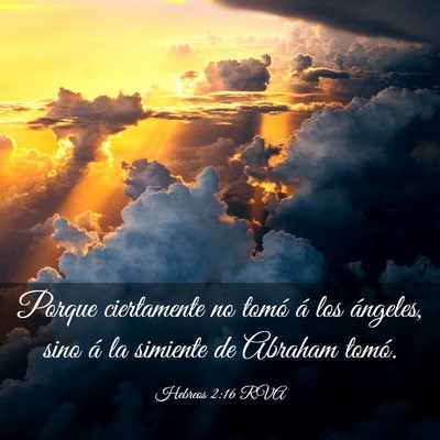 Picture 03 - Hebreos 2:16 RVA - Porque ciertamente no tomó á los ángeles, sino - Bible Verse Picture