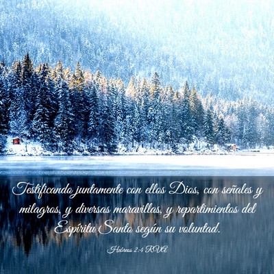 Picture 03 - Hebreos 2:4 RVA - Testificando juntamente con ellos Dios, con - Bible Verse Picture