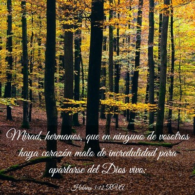 Picture 03 - Hebreos 3:12 RVA - Mirad, hermanos, que en ninguno de vosotros haya - Bible Verse Picture