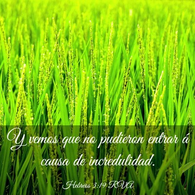 Picture 03 - Hebreos 3:19 RVA - Y vemos que no pudieron entrar á causa de - Bible Verse Picture