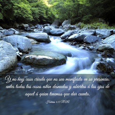 Picture 03 - Hebreos 4:13 RVA - Y no hay cosa criada que no sea manifiesta en su - Bible Verse Picture