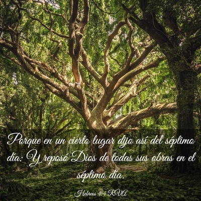 Picture 03 - Hebreos 4:4 RVA - Porque en un cierto lugar dijo así del séptimo - Bible Verse Picture