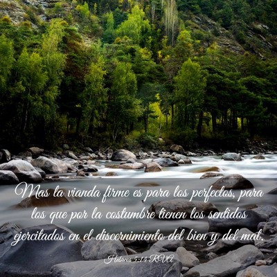 Picture 03 - Hebreos 5:14 RVA - Mas la vianda firme es para los perfectos, para - Bible Verse Picture