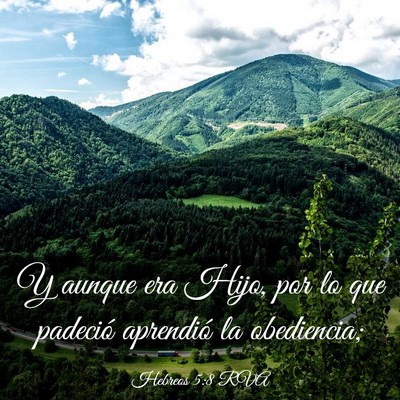 Picture 03 - Hebreos 5:8 RVA - Y aunque era Hijo, por lo que padeció aprendió - Bible Verse Picture