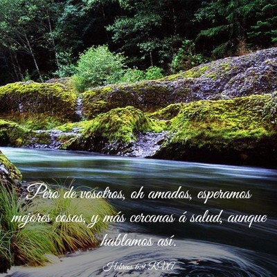 Picture 03 - Hebreos 6:9 RVA - Pero de vosotros, oh amados, esperamos mejores - Bible Verse Picture