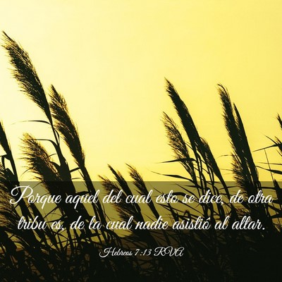 Picture 03 - Hebreos 7:13 RVA - Porque aquel del cual esto se dice, de otra tribu - Bible Verse Picture