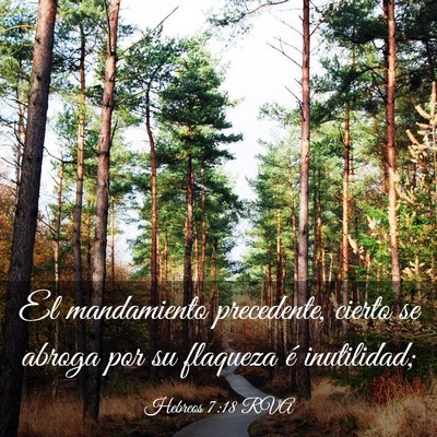 Picture 03 - Hebreos 7:18 RVA - El mandamiento precedente, cierto se abroga por - Bible Verse Picture