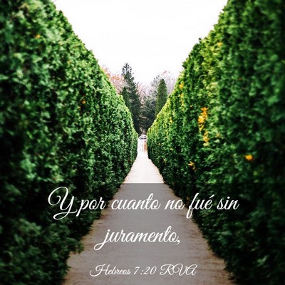 Picture 03 - Hebreos 7:20 RVA - Y por cuanto no fué sin - Bible Verse Picture