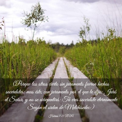 Picture 03 - Hebreos 7:21 RVA - (Porque los otros cierto sin juramento fueron - Bible Verse Picture