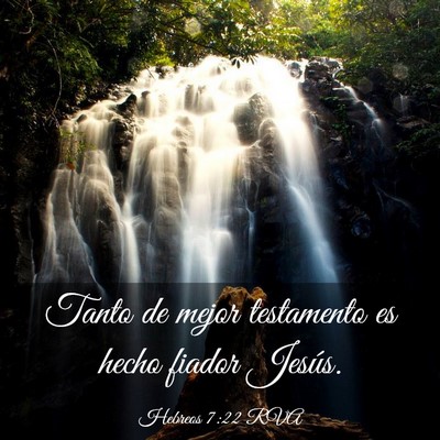 Picture 03 - Hebreos 7:22 RVA - Tanto de mejor testamento es hecho fiador - Bible Verse Picture