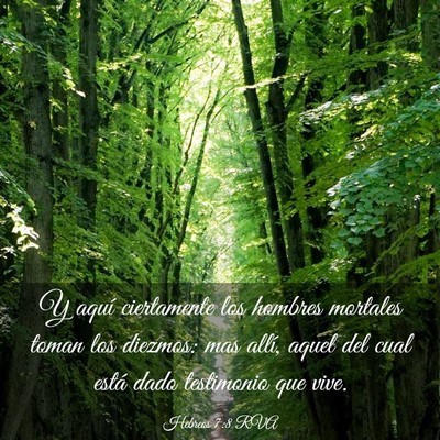 Picture 03 - Hebreos 7:8 RVA - Y aquí ciertamente los hombres mortales toman - Bible Verse Picture