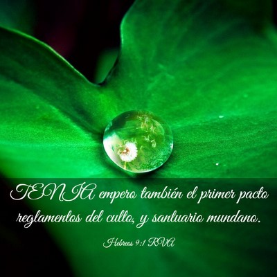 Picture 03 - Hebreos 9:1 RVA - TENIA empero también el primer pacto reglamentos - Bible Verse Picture