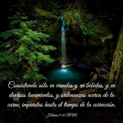 Picture 03 - Hebreos 9:10 RVA - Consistiendo sólo en viandas y en bebidas, y en - Bible Verse Picture