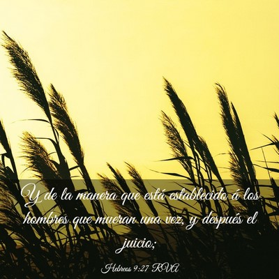 Picture 03 - Hebreos 9:27 RVA - Y de la manera que está establecido á los - Bible Verse Picture