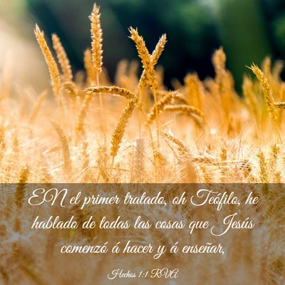 Picture 03 - Hechos 1:1 RVA - EN el primer tratado, oh Teófilo, he hablado de - Bible Verse Picture