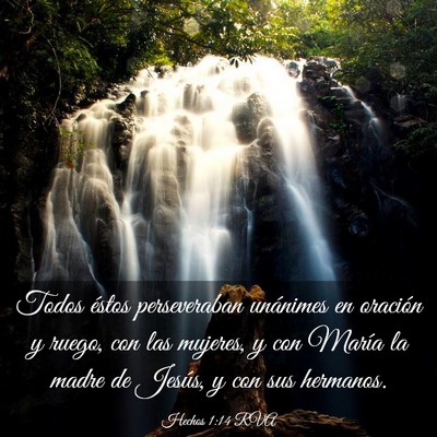 Picture 03 - Hechos 1:14 RVA - Todos éstos perseveraban unánimes en oración y - Bible Verse Picture