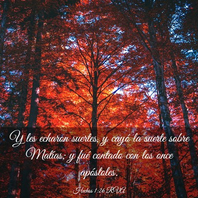 Picture 03 - Hechos 1:26 RVA - Y les echaron suertes, y cayó la suerte sobre - Bible Verse Picture