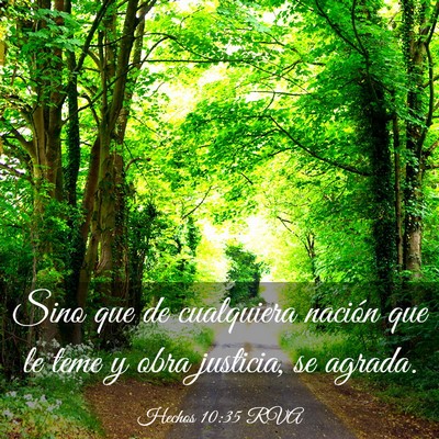 Picture 03 - Hechos 10:35 RVA - Sino que de cualquiera nación que le teme y obra - Bible Verse Picture