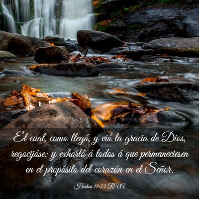 Picture 03 - Hechos 11:23 RVA - El cual, como llegó, y vió la gracia de Dios, - Bible Verse Picture