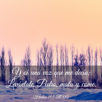 Picture 03 - Hechos 11:7 RVA - Y oí una voz que me decía: Levántate, Pedro, - Bible Verse Picture