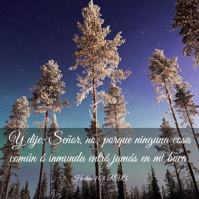 Picture 03 - Hechos 11:8 RVA - Y dije: Señor, no; porque ninguna cosa común ó - Bible Verse Picture