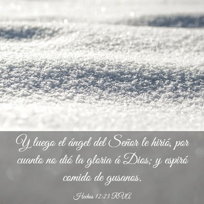 Picture 03 - Hechos 12:23 RVA - Y luego el ángel del Señor le hirió, por - Bible Verse Picture