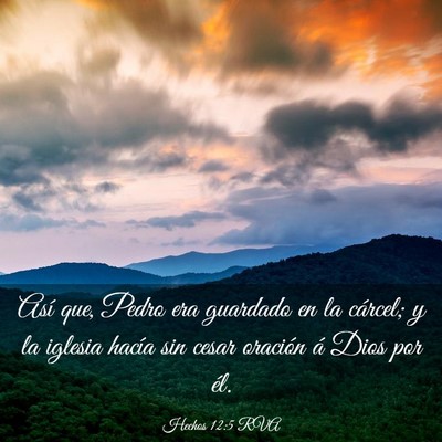 Picture 03 - Hechos 12:5 RVA - Así que, Pedro era guardado en la cárcel; y la - Bible Verse Picture