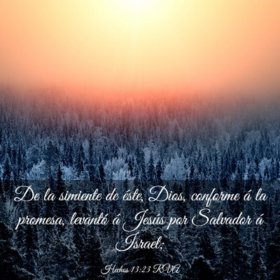 Picture 03 - Hechos 13:23 RVA - De la simiente de éste, Dios, conforme á la - Bible Verse Picture