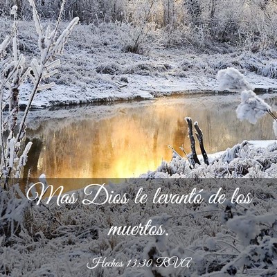 Picture 03 - Hechos 13:30 RVA - Mas Dios le levantó de los - Bible Verse Picture
