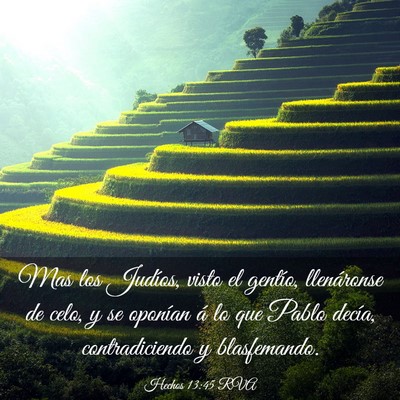 Picture 03 - Hechos 13:45 RVA - Mas los Judíos, visto el gentío, llenáronse de - Bible Verse Picture