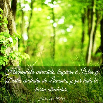 Picture 03 - Hechos 14:6 RVA - Habiéndolo entendido, huyeron á Listra y Derbe, - Bible Verse Picture