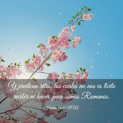 Picture 03 - Hechos 16:21 RVA - Y predican ritos, los cuales no nos es lícito - Bible Verse Picture