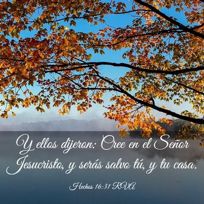 Picture 03 - Hechos 16:31 RVA - Y ellos dijeron: Cree en el Señor Jesucristo, y - Bible Verse Picture
