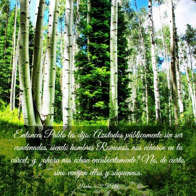 Picture 03 - Hechos 16:37 RVA - Entonces Pablo les dijo: Azotados públicamente - Bible Verse Picture