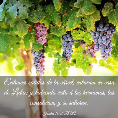 Picture 03 - Hechos 16:40 RVA - Entonces salidos de la cárcel, entraron en casa - Bible Verse Picture