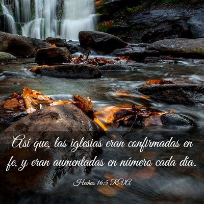 Picture 03 - Hechos 16:5 RVA - Así que, las iglesias eran confirmadas en fe, y - Bible Verse Picture