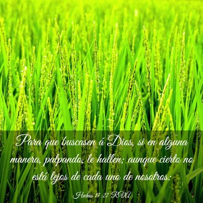 Picture 03 - Hechos 17:27 RVA - Para que buscasen á Dios, si en alguna manera, - Bible Verse Picture