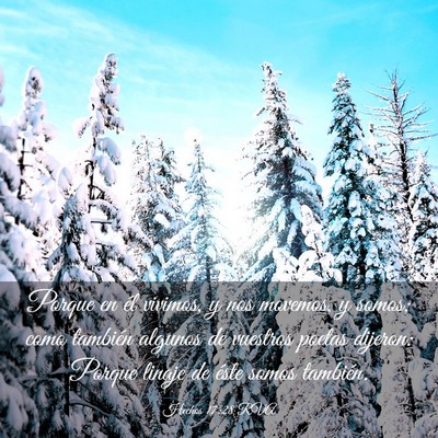 Picture 03 - Hechos 17:28 RVA - Porque en él vivimos, y nos movemos, y somos; - Bible Verse Picture